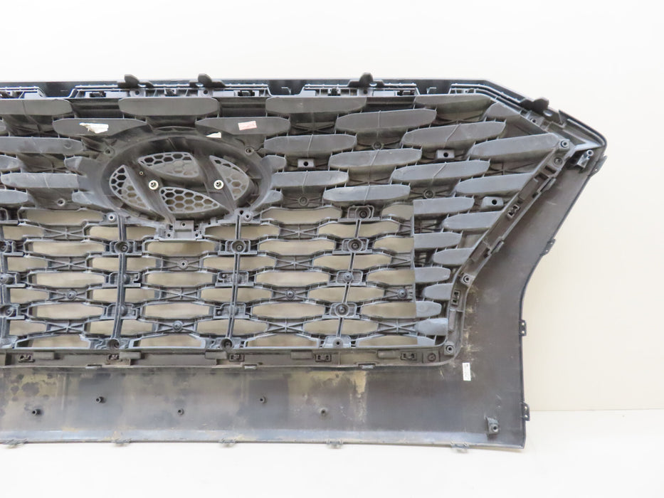 2020-2022 HYUNDAI PALISADE FRONT RADIATOR GRILL GRILLE OEM 86352 S8020
