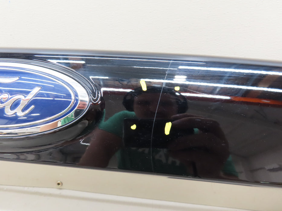 2017-2019 Ford Escape Tailgate Trim Molding & Camera GJ54-S43404 OEM