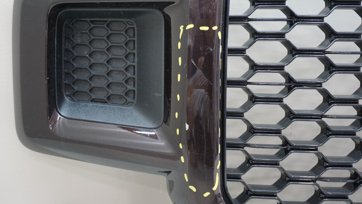 2018-2020 FORD F150 F-150 STX HONECOMB FRONT RADIATOR GRILLE OEM JL34-8200