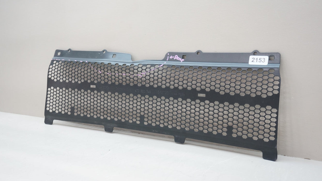 2023-2025 LAMBORGHINI HURACAN STERRATO FRONT RADIATOR GRILLE GRILL 4T0820746 OEM