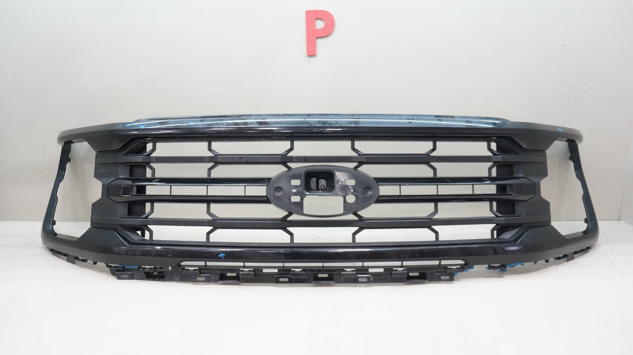 2024-2025 FORD F-150 XLT FRONT BUMPER RADIATOR GRILLE OEM RL34-8200-BAW
