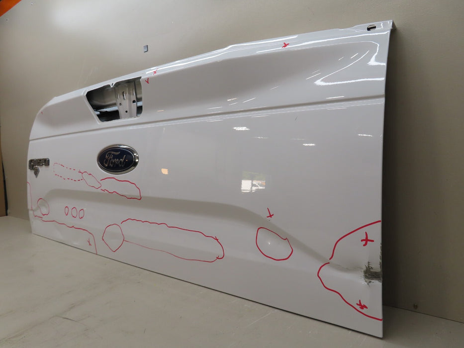 2015-2017 FORD F150 150 TAILGATE PANEL OEM