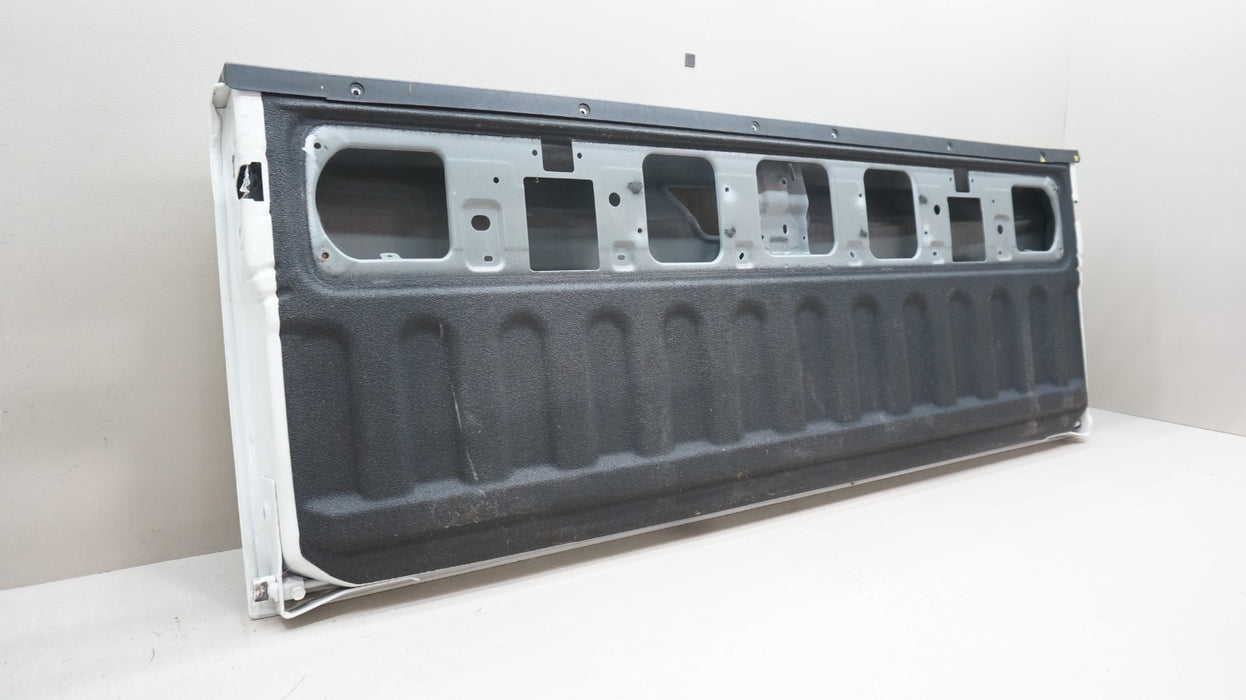 2019-2025 DODGE RAM 1500 BIGHORN REAR BED TAILGATE OEM