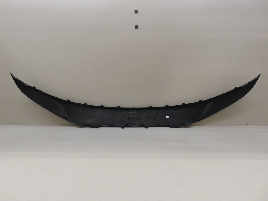 2024 HYUNDAI ELANTRA FRONT FINISH PANEL OEM
