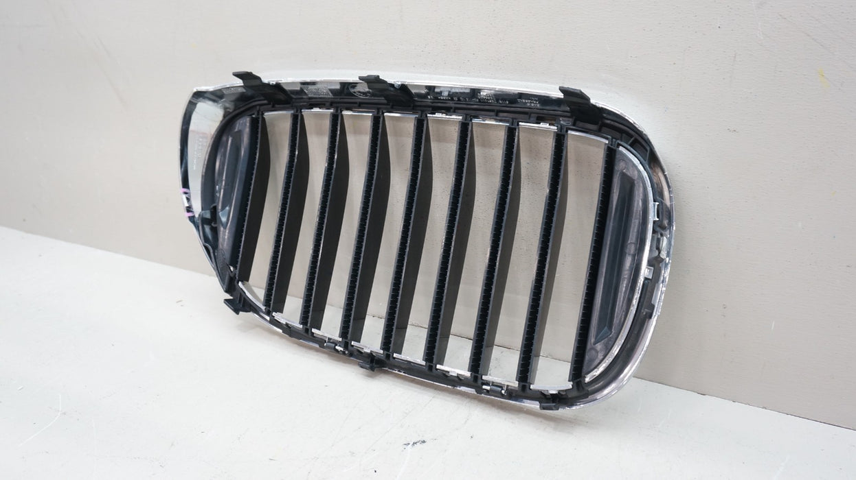 2016-2019 BMW 7 SERIES G11 G12 FRONT LEFT DRIVER SIDE RADIATOR KINDEY GRILLE OEM