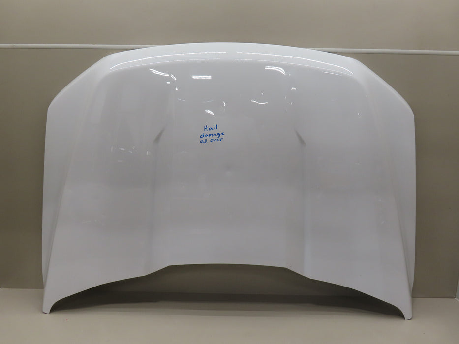 2021-2023 FORD F150 F-150 FRONT HOOD BONNET OEM