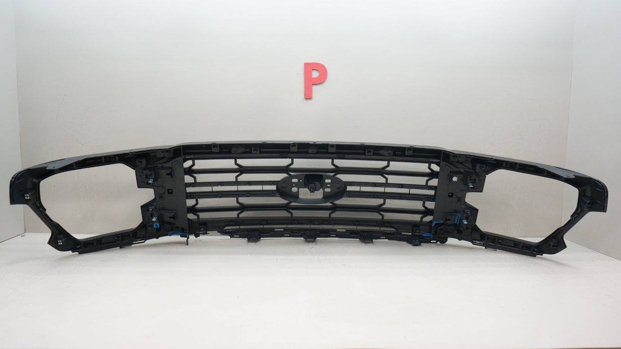 2024-2025 FORD F-150 XLT FRONT BUMPER RADIATOR GRILLE OEM RL34-8200-BAW