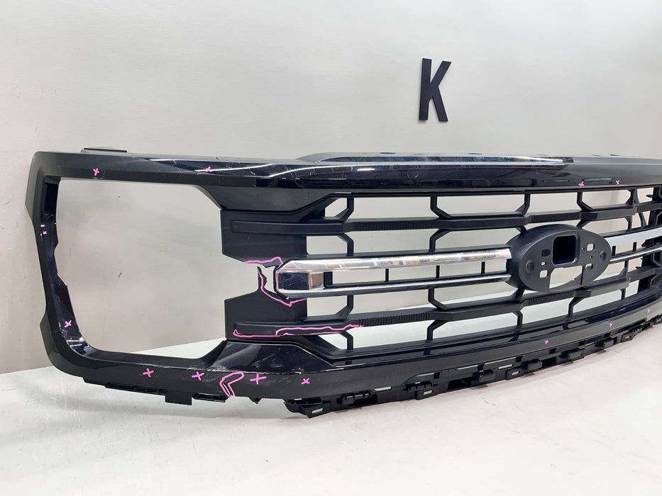2024-2026 FORD F-150 UPPER FRONT GRILLE GRILL RL34-8200-BAW OEM