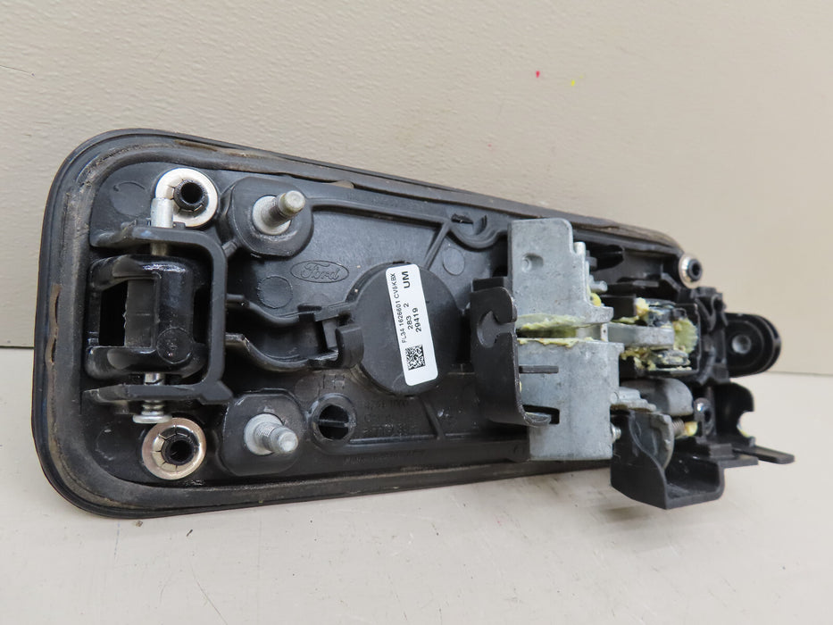 2015-2020 FORD F150 F-150 REAR LEFT DRIVER SIDE DOOR HANDLE OEM