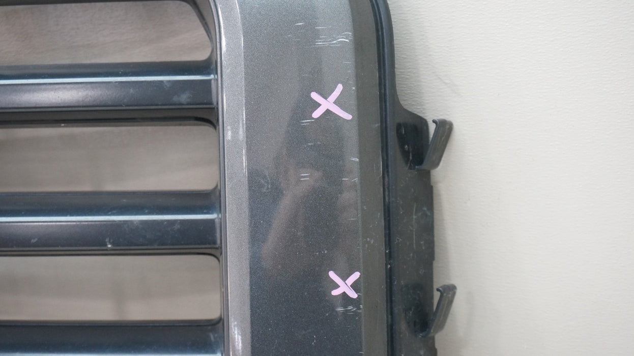 2015-2017 FORD F150 F-150 FRONT BUMPER RADIATOR GRILLE OEM FL34-8200