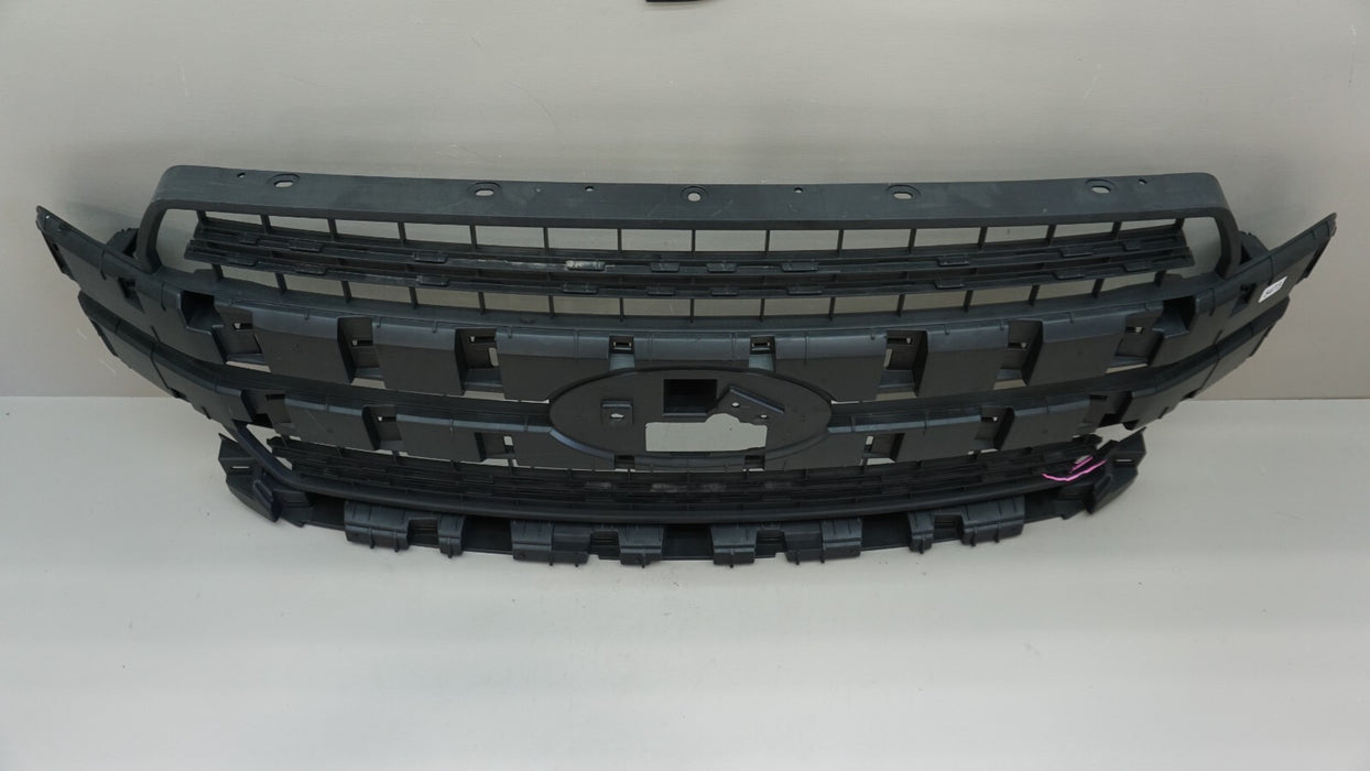 2018-2020 FORD F-150 FRONT CENTER BUMPER RADIATOR GRILLE GRILL OEM JL34-8200