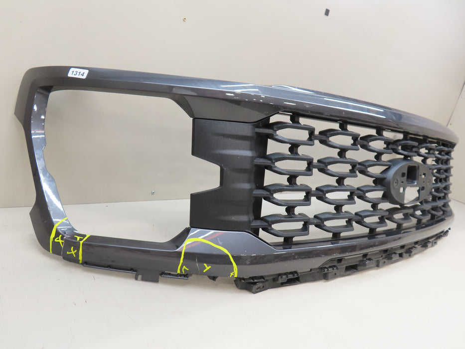 2024-2025 FORD F150 F-150 FRONT RADIATOR GRILL GRILE OEM RL34-8200-LC