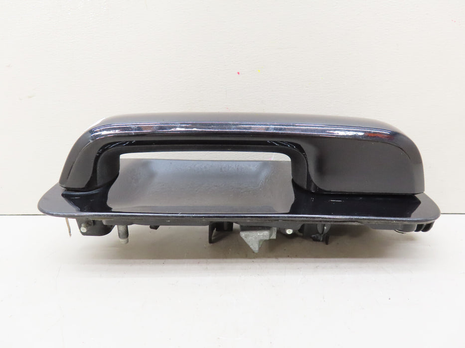 2015-2020 FORD F150 F-150 REAR LEFT DRIVER SIDE DOOR HANDLE OEM