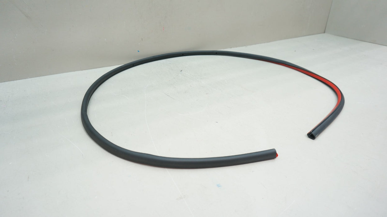 2018-2022 LAMBORGHINI URUS REAR LEFT DOOR LOWER WEATHER SEAL OEM 4ML839911