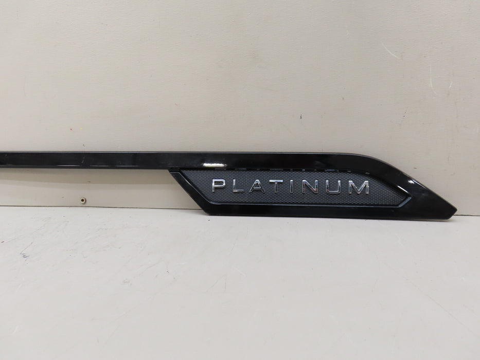 2022-2023 TOYOTA TUNDRA PLATINUM FRONT RIGHT PASSENGER SIDE DOOR MOLDING OEM