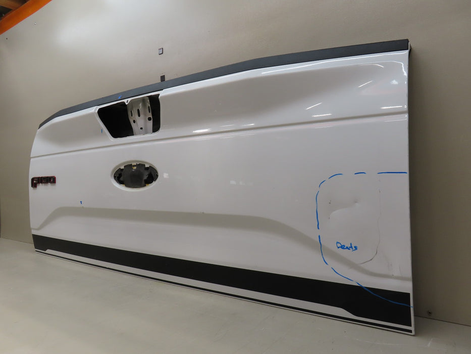 2015-2017 FORD F150 150 TAILGATE PANEL OEM