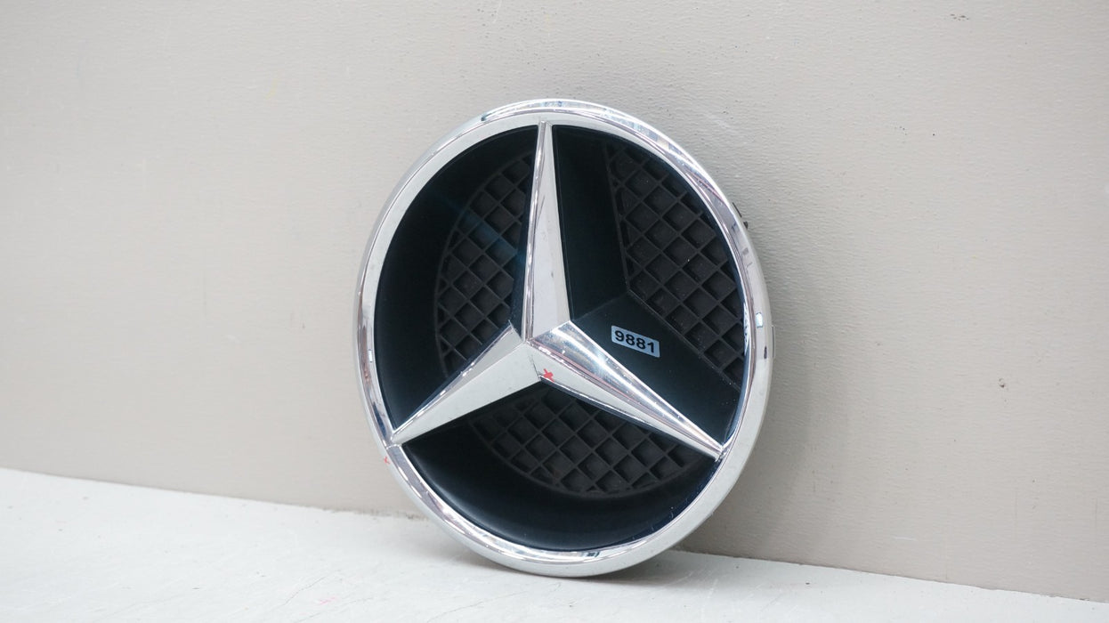 MERCEDES-BENZ E CLASS W213 FRONT RADIATOR GRILLE STAR BADGE EMBLEM A0008880100