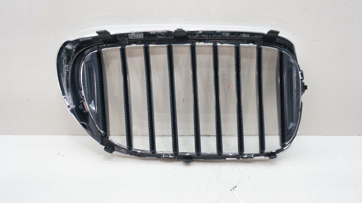 2016-2019 BMW 7 SERIES G11 G12 FRONT LEFT DRIVER SIDE RADIATOR KINDEY GRILLE OEM