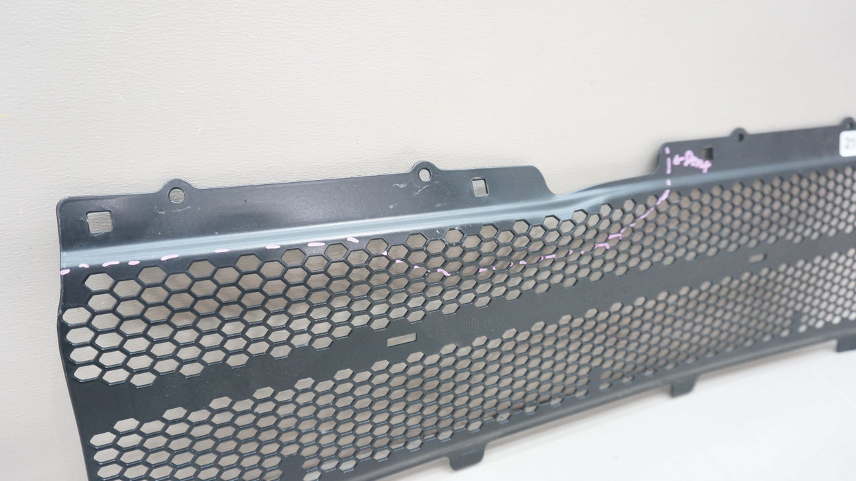 2023-2025 LAMBORGHINI HURACAN STERRATO FRONT RADIATOR GRILLE GRILL 4T0820746 OEM