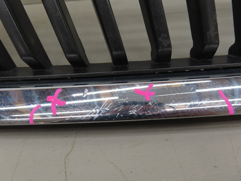2010-2013 LEXUS RX350 RX450H FRONT RADIATOR GRILL GRILLE OEM 53111-0E041