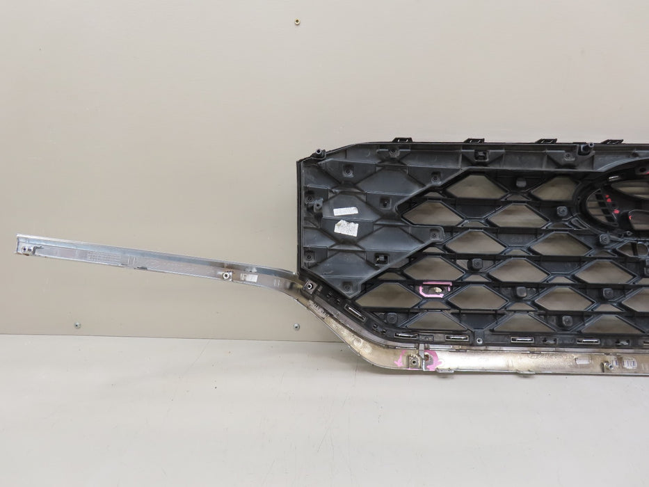 2024 2025 HYUNDAI SANTA FE FRONT RADIATOR GRILL GRILLE OEM