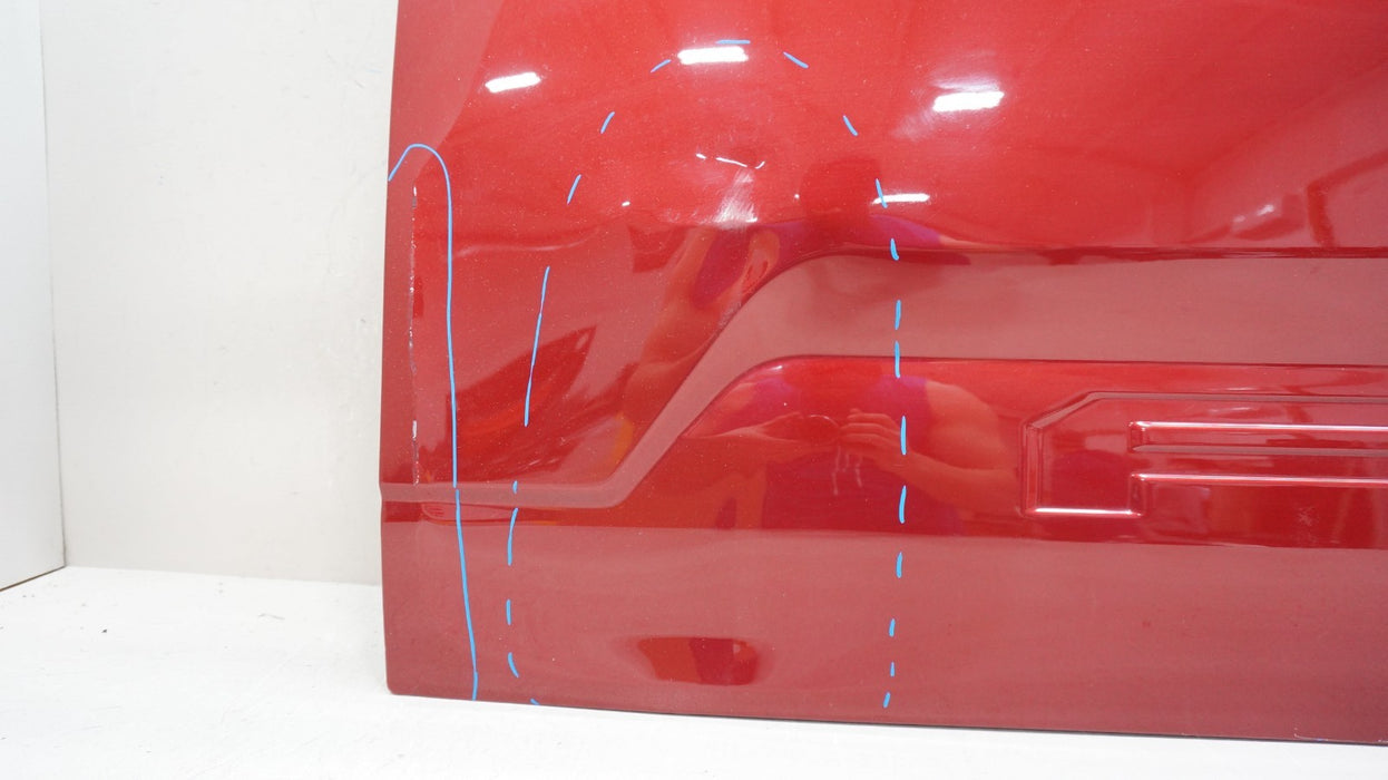 2015-2017 FORD F-150 F150 REAR BED TAILGATE PANEL SHELL OEM