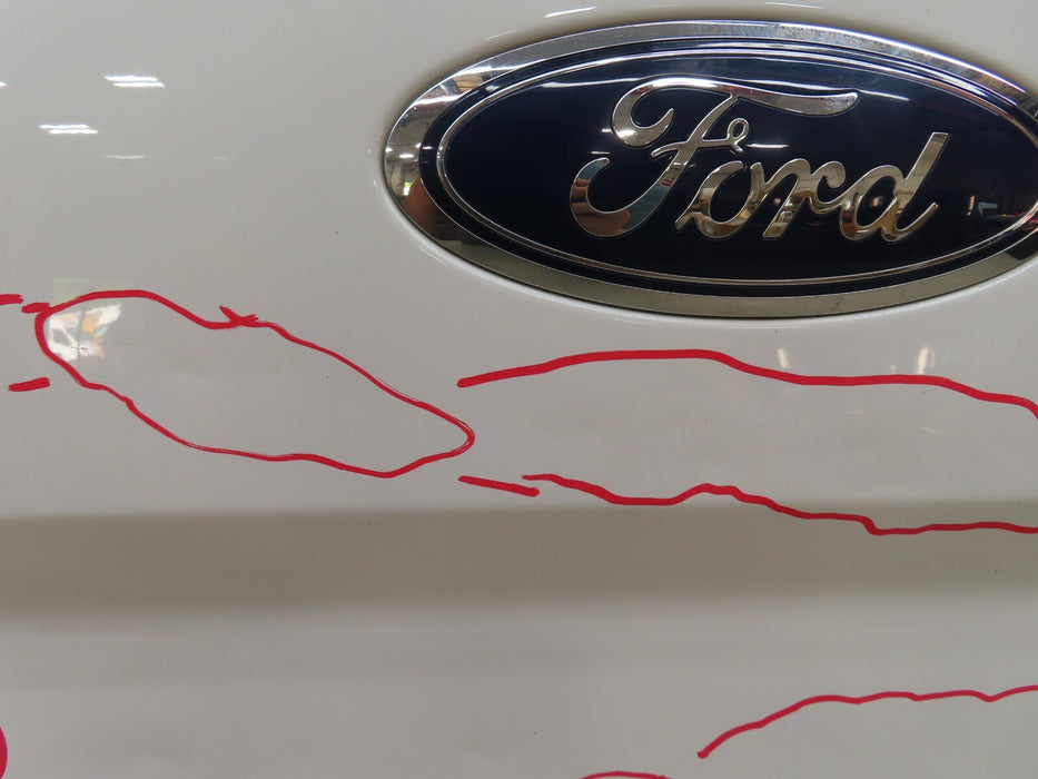 2015-2017 FORD F150 150 TAILGATE PANEL OEM