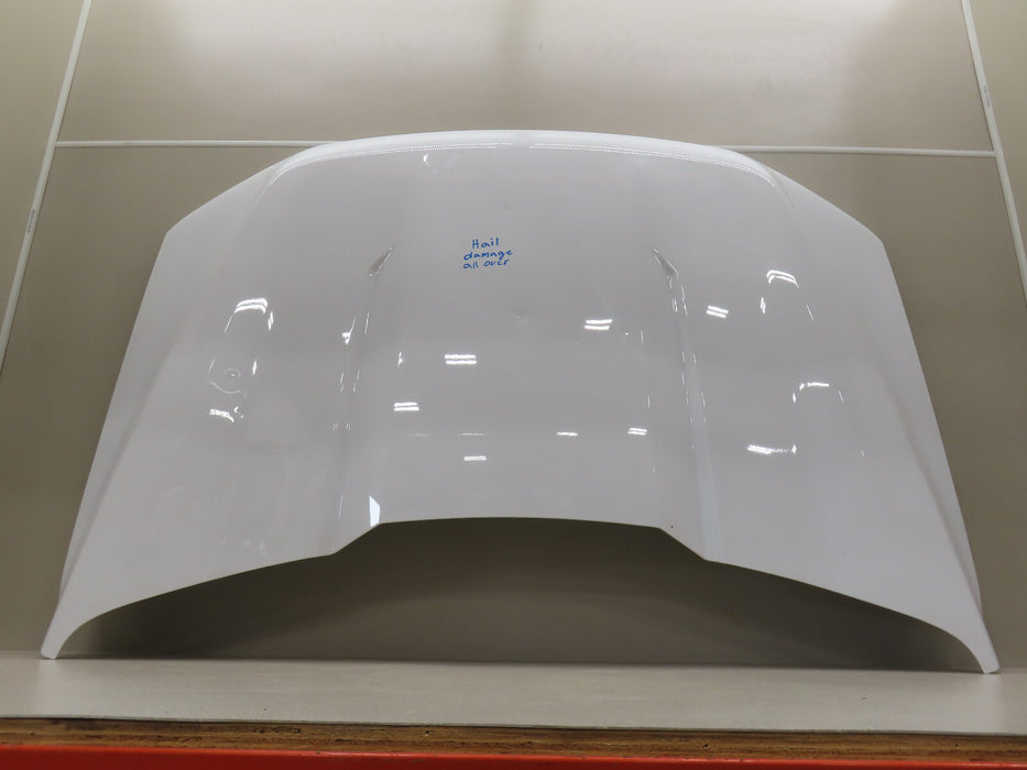 2021-2023 FORD F150 F-150 FRONT HOOD BONNET OEM