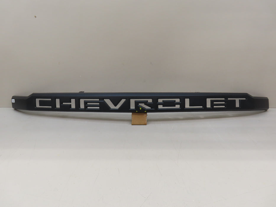 2019-2022 CHEVROLET SILVERADO 1500 FRONT CENTER GRILL GRILLE INSERT OEM