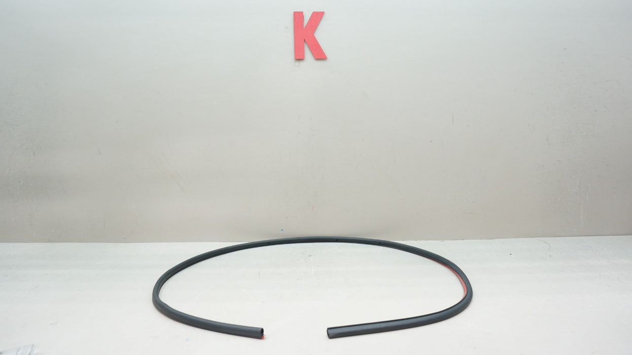 2018-2022 LAMBORGHINI URUS REAR LEFT DOOR LOWER WEATHER SEAL OEM 4ML839911
