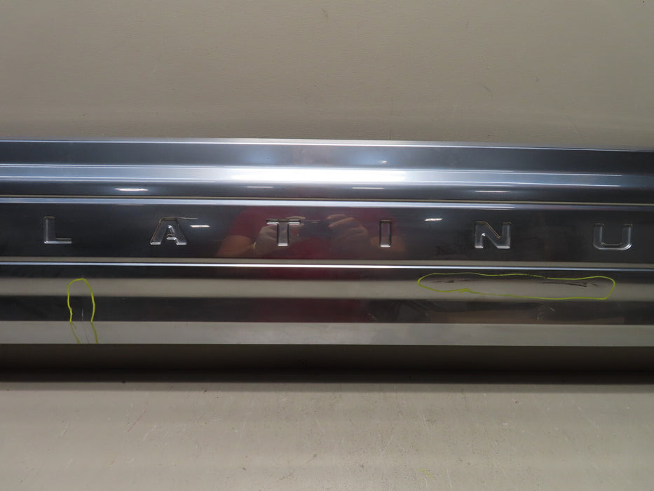 2018 2019 2020 FORD F-150 PLATINUM TAILGATE TRIM MOLDING INSERT PANEL GATE oem