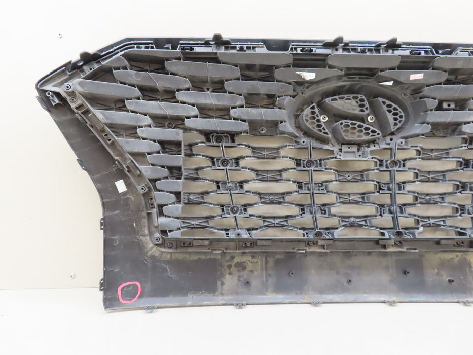 2020-2022 HYUNDAI PALISADE FRONT RADIATOR GRILL GRILLE OEM 86352 S8020
