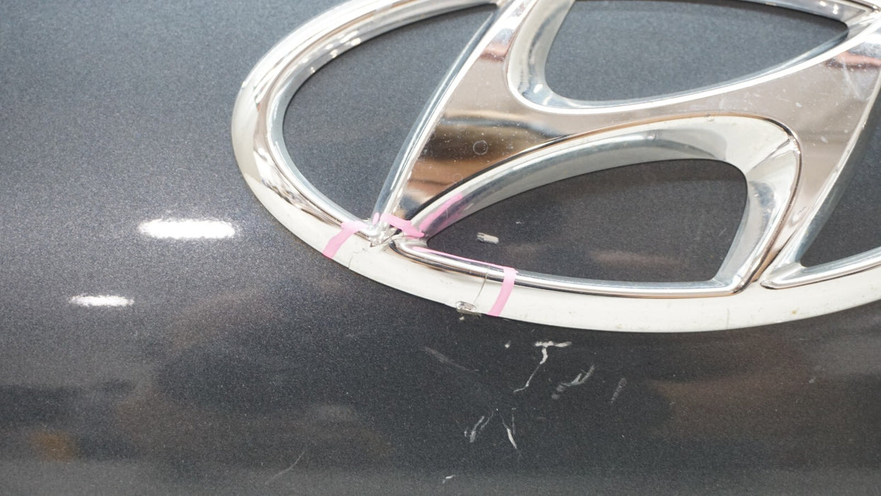 2020-2022 HYUNDAI PALISADE REAR LIFTGATE MOLDING TRIM PANEL OEM 87311-S8000